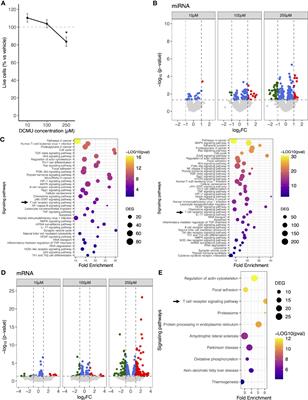 The DCMU Herbicide Shapes T-cell Functions By Modulating Micro-RNA Expression Profiles